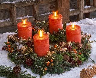 养成游戏《兽耳☆训练 ～狂暴兽耳大小姐的养成～》Steam页面上线 支持简中